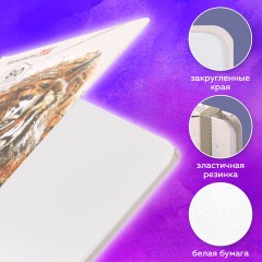 Скетчбук, белая бумага 80 г/м2, 145х203 мм, 80 л., резинка, твердый, BRAUBERG ART DEBUT "Тигр", 114580 - фото 11