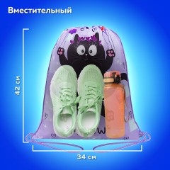 Мешок для обуви ПИФАГОР, 1 отделение, 42х34 см, "Falling cat", 272383 Мешок для обуви ПИФАГОР, 1 отделение, 42х34 см, "Falling cat", 272383 - фото 10