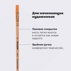Кисть ПИФАГОР, СИНТЕТИКА, плоская, № 8, деревянная лакированная ручка, с колпачком, пакет с подвесом, 200861 Кисть ПИФАГОР, СИНТЕТИКА, плоская, № 8, деревянная лакированная ручка, с колпачком, пакет с подвесом, 200861 - фото 9