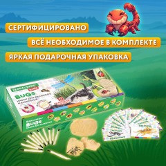 Набор для раскопок "Насекомые", 12 видов, карточки, инструменты, BRAUBERG KIDS, 665127 Набор для раскопок "Насекомые", 12 видов, карточки, инструменты, BRAUBERG KIDS, 665127 - фото 17