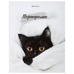 Папка-портфолио универсальная, 4 кольца, 20 файлов, 7БЦ матовая, BRAUBERG "Cat", 107557, 117557 - фото 4