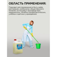 Универсальное чистящее средство ПРОГРЕСС 5л Канистра - фото 6