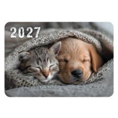 Календарь карманный на 2027 г, BRAUBERG, 64х93 мм, АССОРТИ, 20 дизайнов (60 штук), 118489 - фото 11