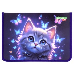 Папка для тетрадей BRAUBERG KIDS А4, 1 отделение, пластик, молния вокруг, "Curious cat", 273336 Папка для тетрадей BRAUBERG KIDS А4, 1 отделение, пластик, молния вокруг, "Curious cat", 273336 - фото 3