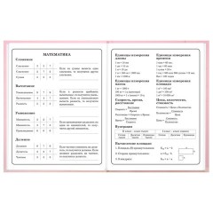 Дневник 1-4 класс 48 л., твердый, BRAUBERG, выборочный лак, с подсказом, "Миленький котёнок", 107594 - фото 14