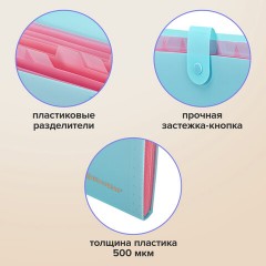 Папка-органайзер на кнопке 12 отделений, BRAUBERG "Extra", А4, голубая с розовым, 271932 Папка-органайзер на кнопке 12 отделений, BRAUBERG "Extra", А4, голубая с розовым, 271932 - фото 12