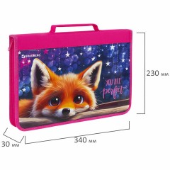 Папка на молнии BRAUBERG А4 с ручкой, с органайзером, 1 отделение, "Cute fox", 272217 Папка на молнии BRAUBERG А4 с ручкой, с органайзером, 1 отделение, "Cute fox", 272217 - фото 6